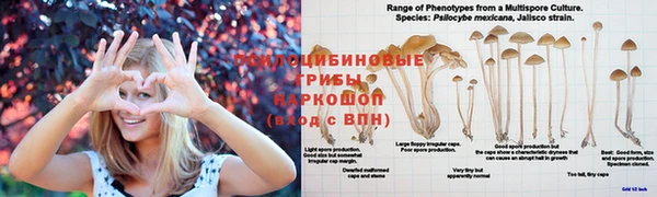 дмт Алексеевка