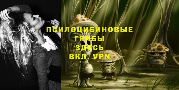 дмт Алексеевка