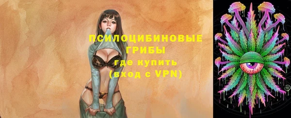 дмт Алексеевка